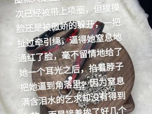 女狗训练 70 条规矩：SM 新玩法？