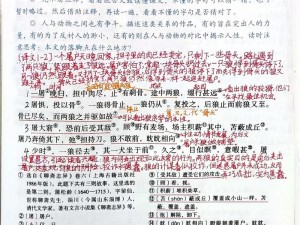 在系统升级中狼拿笔记一 2bbuu 的基础上，升级后的商品具有更强大的功能