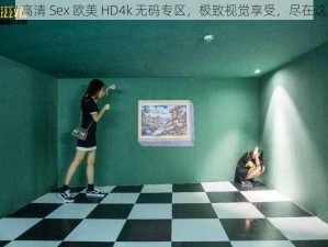 BBW 高清 Sex 欧美 HD4k 无码专区，极致视觉享受，尽在这里