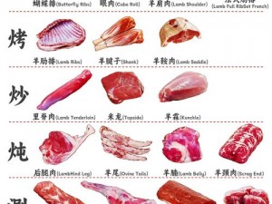 新鲜羊肉，营养丰富，可滋补身体，适合多种烹饪方式