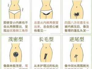 女人私密部位私密毛发浓密，肥大，图片展示