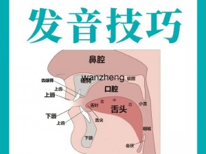 韵母攻略 1-13：轻松掌握韵母发音技巧的秘籍