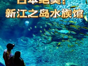 水族修炼场探索：乐趣无穷的奇幻水域之旅