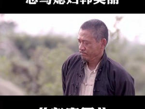 电视剧老农民播放视频：领略中国农民的坚韧与智慧