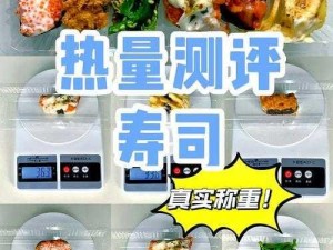 诺亚之心鱼肉寿司：制作流程揭秘与独特口感体验分享