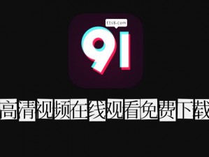 91 精选视频：汇集各类精彩视频，满足你的所有需求