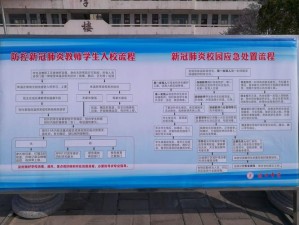 守护之道的编队系统详解：守护力量如何构建与运用编队战略重要性解析