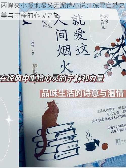 两峰夹小溪地湿又无泥诗小说：探寻自然之美与宁静的心灵之旅