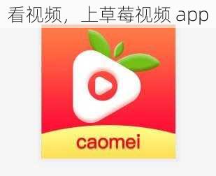 看视频，上草莓视频 app