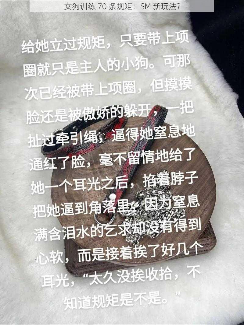 女狗训练 70 条规矩：SM 新玩法？