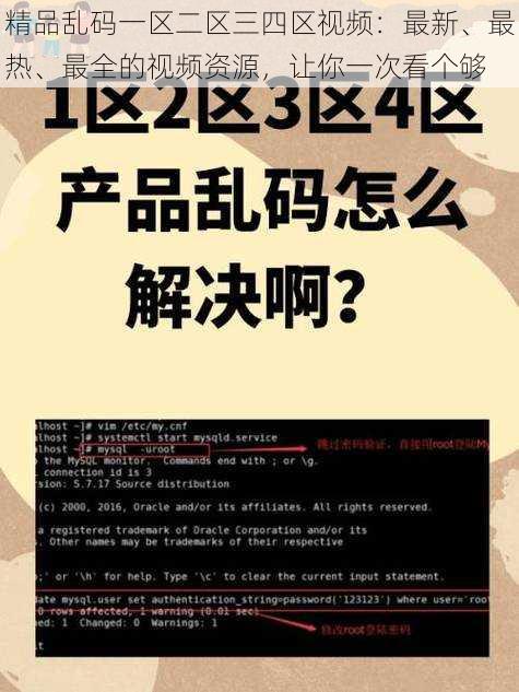 精品乱码一区二区三四区视频：最新、最热、最全的视频资源，让你一次看个够