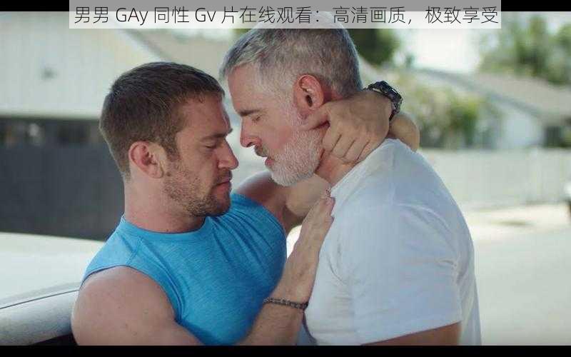 男男 GAy 同性 Gv 片在线观看：高清画质，极致享受