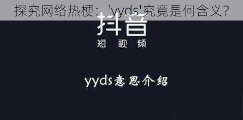 探究网络热梗：'yyds'究竟是何含义？