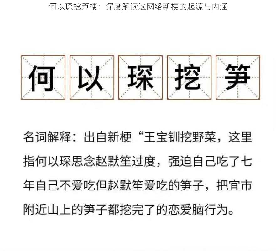 何以琛挖笋梗：深度解读这网络新梗的起源与内涵