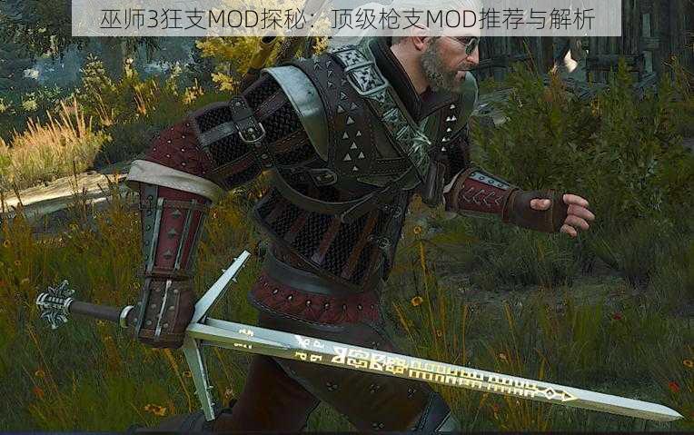 巫师3狂支MOD探秘：顶级枪支MOD推荐与解析