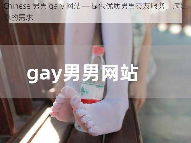 Chinese 男男 gary 网站——提供优质男男交友服务，满足你的需求