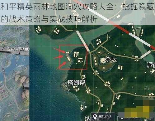 和平精英雨林地图洞穴攻略大全：挖掘隐藏的战术策略与实战技巧解析