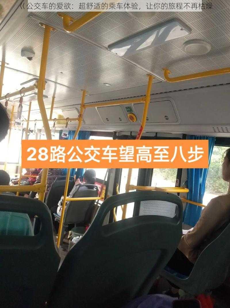 巜公交车的爱欲：超舒适的乘车体验，让你的旅程不再枯燥