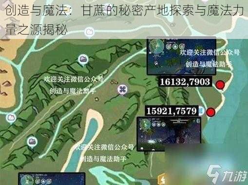 创造与魔法：甘蔗的秘密产地探索与魔法力量之源揭秘