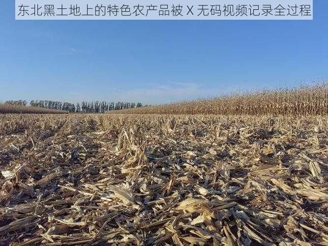 东北黑土地上的特色农产品被 X 无码视频记录全过程