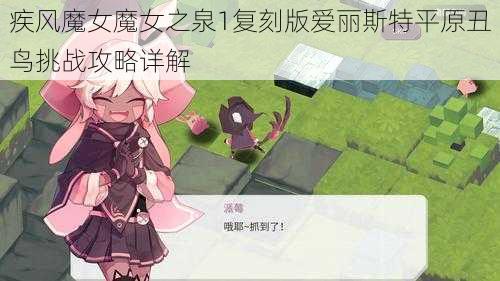 疾风魔女魔女之泉1复刻版爱丽斯特平原丑鸟挑战攻略详解