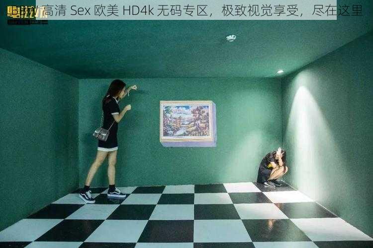 BBW 高清 Sex 欧美 HD4k 无码专区，极致视觉享受，尽在这里